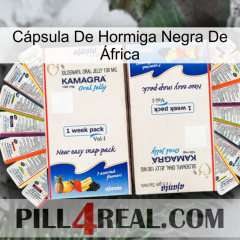 Cápsula De Hormiga Negra De África kamagra1